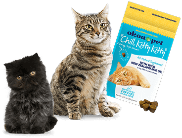 Go to Chill Kitty Kitty Calming Soft Chews for Cats
