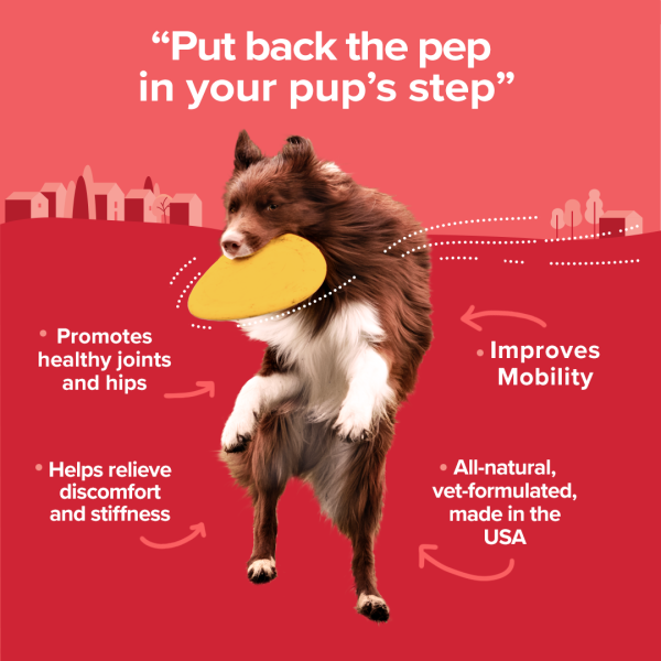 Benefits of Happy Go Puppy Soft Chews. Put the pep back in your pup's step. Promotes healthy joints and hips. Improves mobility.