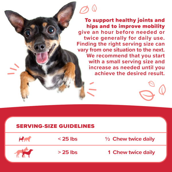 Happy Go Puppy Serving Size Guidelines