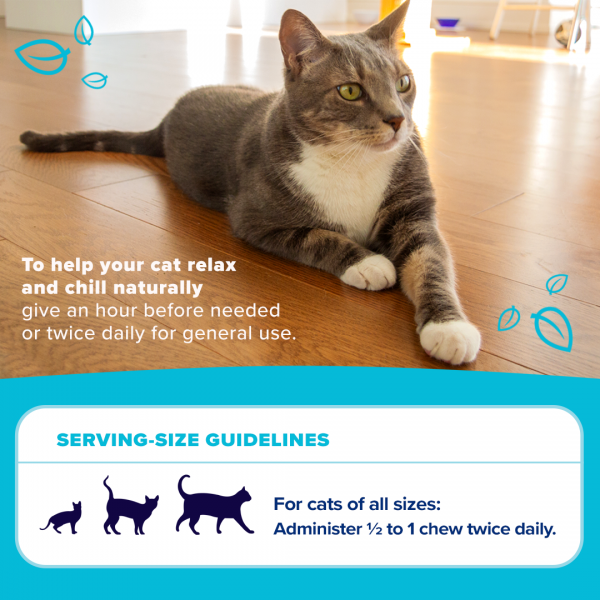 Cat calming chews serving size guidelines