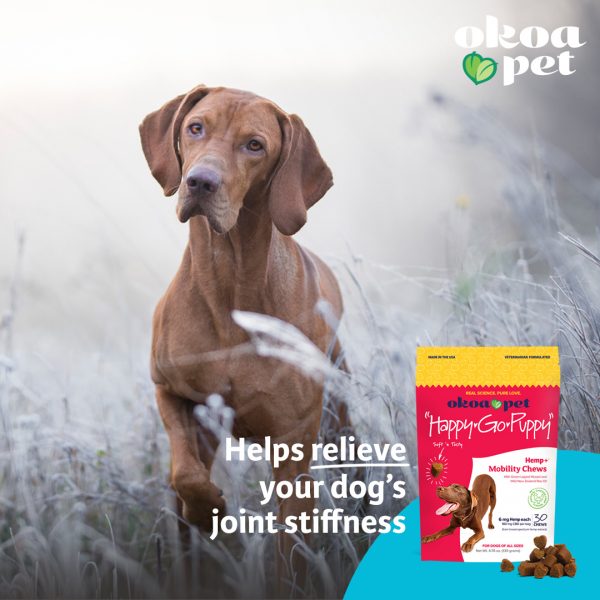 Happy Go Puppy CBD+ mobility chews help relieve your pup's joint stiffness