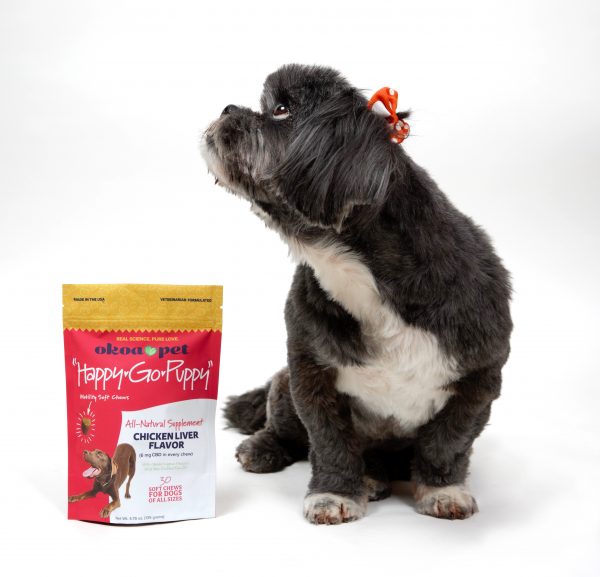 Shitzu dog with "Happy-Go-Puppy" CBD Joint Chews