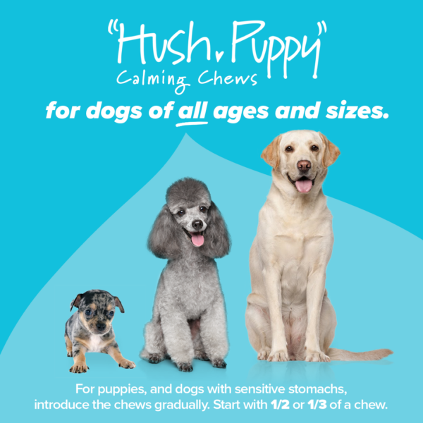 Hush, Puppy calming soft chews are dogs of all ages and sizes
